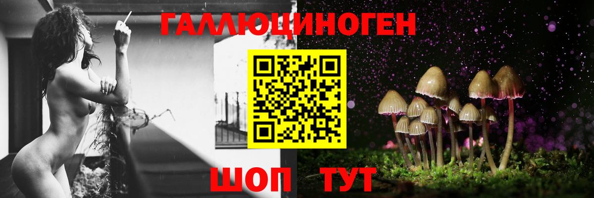 Клин  Галлюциногенные грибы мицелий  Вход с VPN  Псилоцибиновые грибы мухоморы 